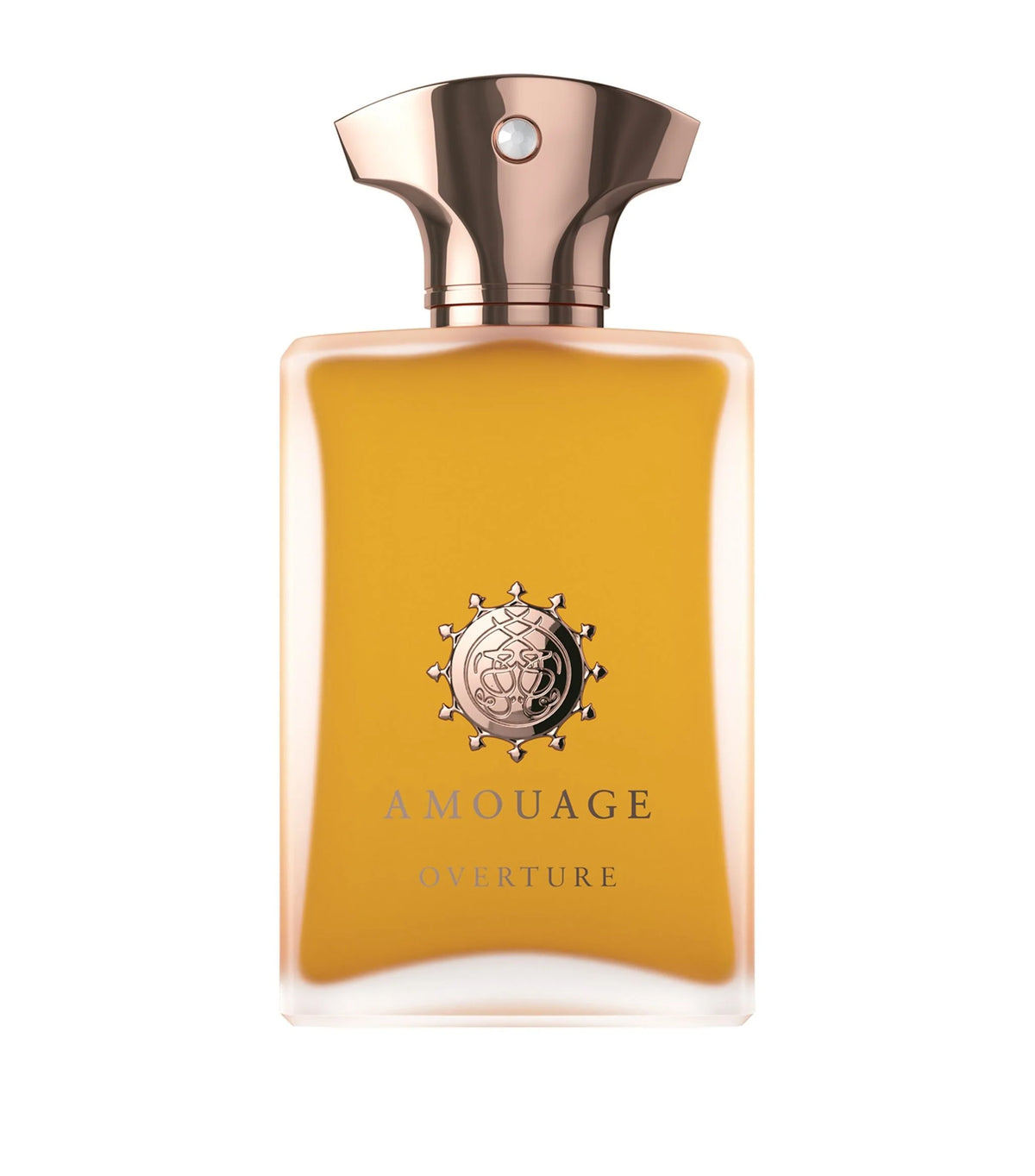 Amouage Overture Man 100 ml
